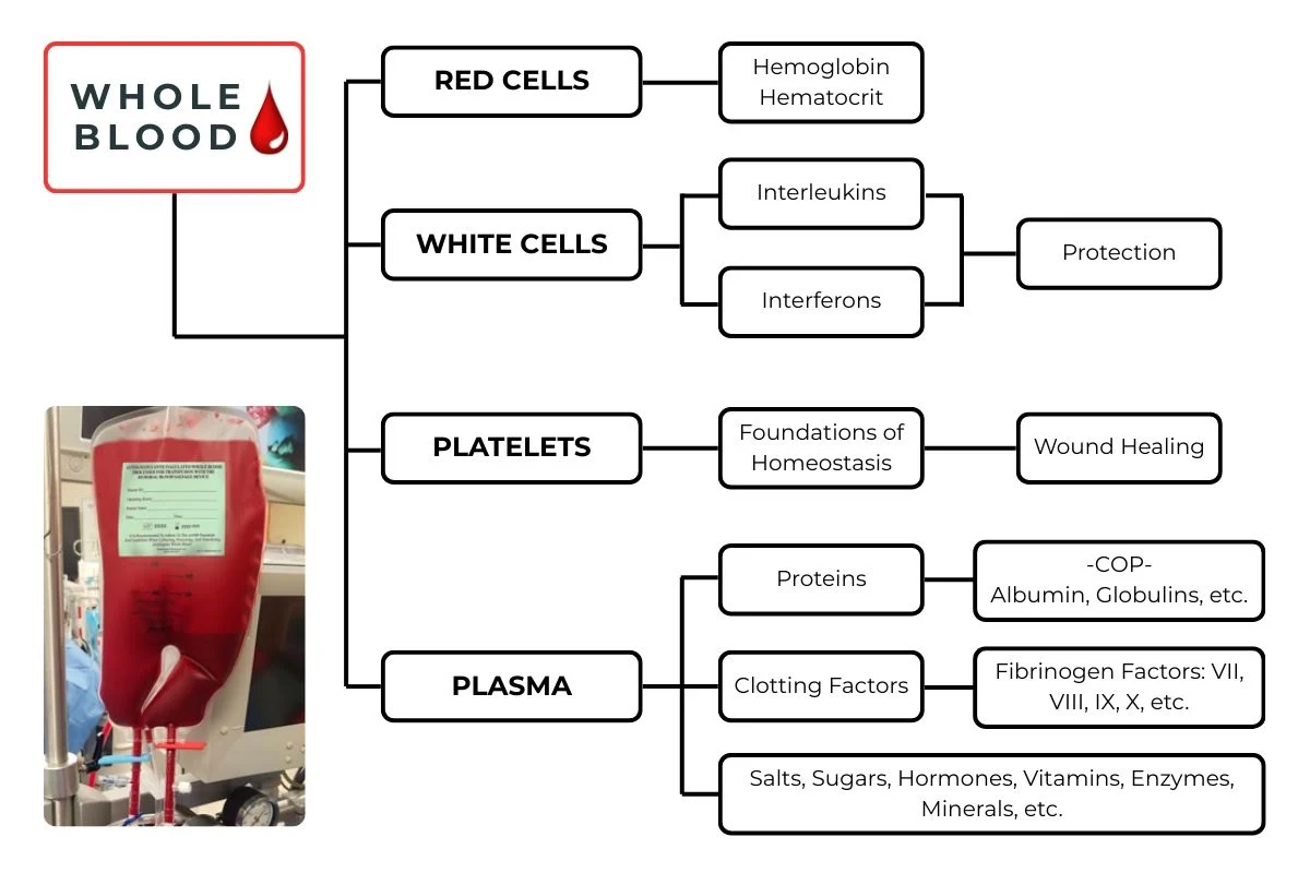 Whole Blood components diagram showing Red Cells, White Cells, Platelets, and Plasma with their functions
